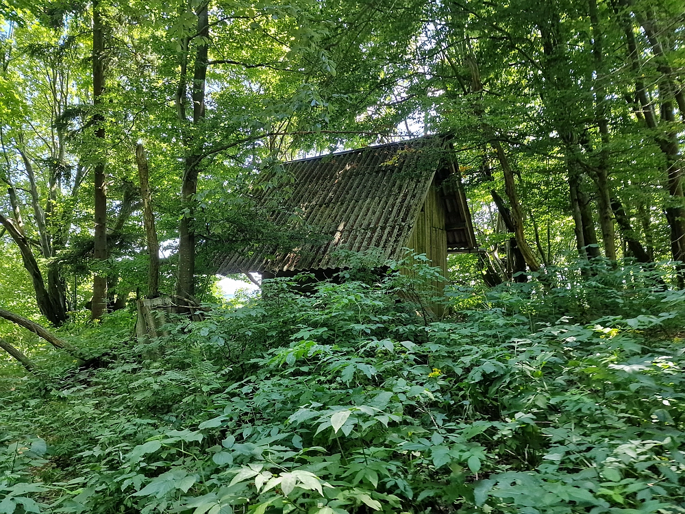 Slika je vidna v Google Chromu.