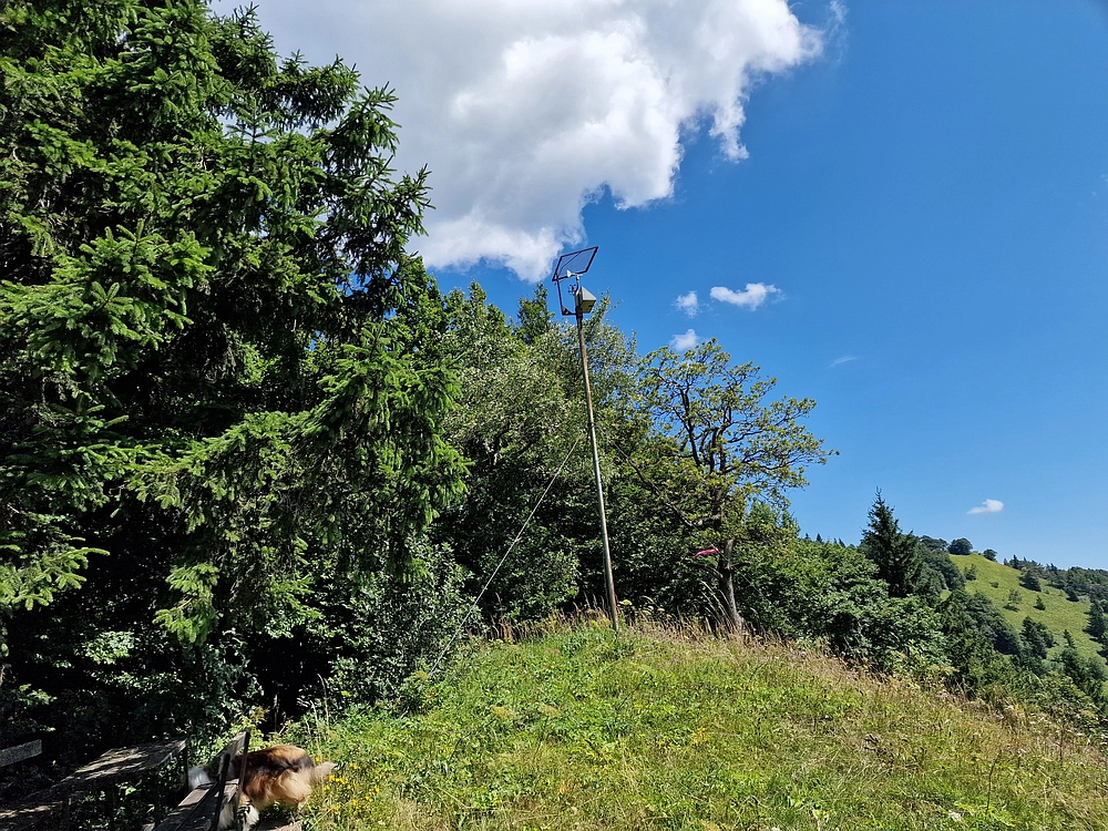 Slika je vidna v Google Chromu.