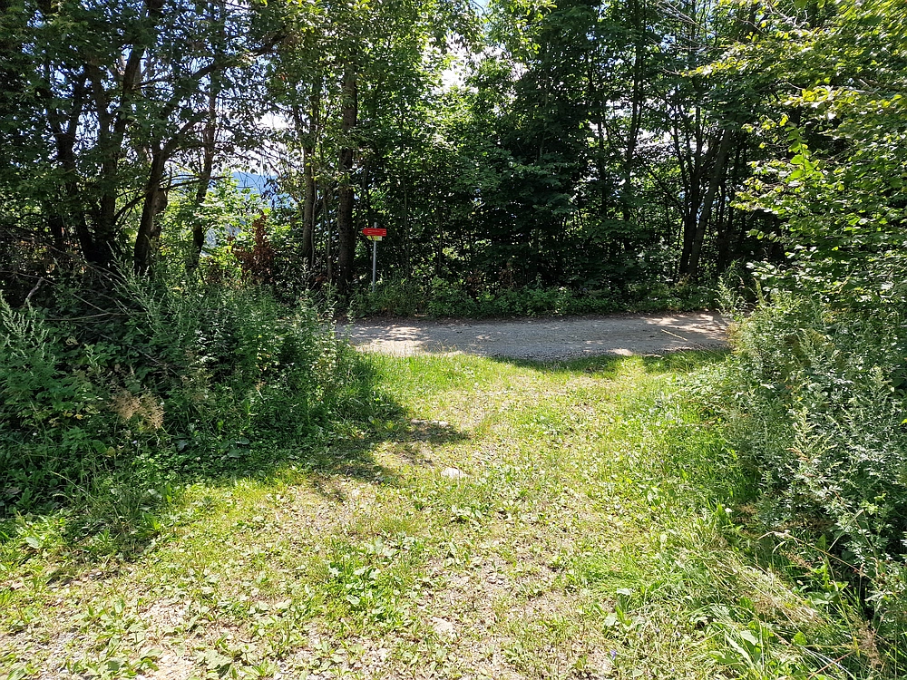 Slika je vidna v Google Chromu.