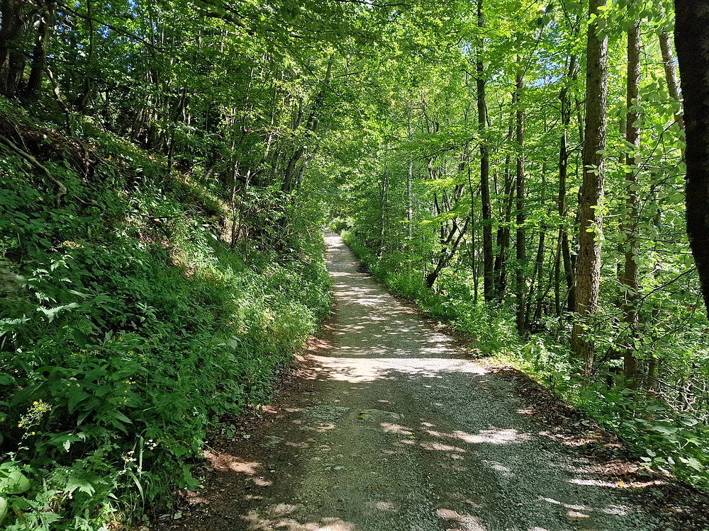 Slika je vidna v Google Chromu.