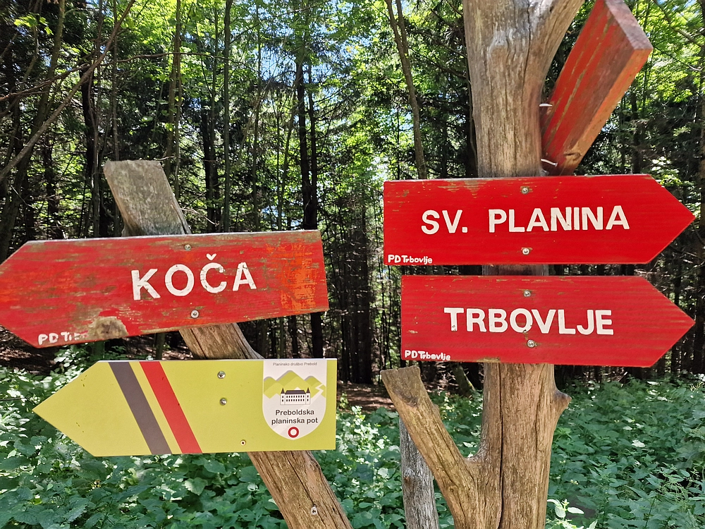 Slika je vidna v Google Chromu.