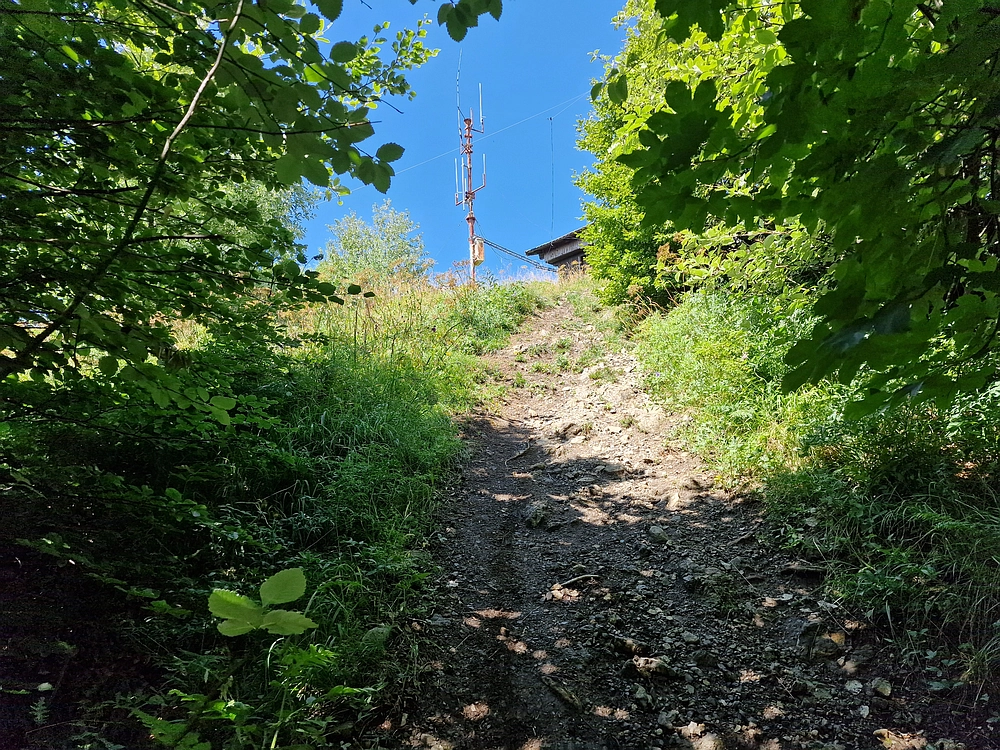 Slika je vidna v Google Chromu.