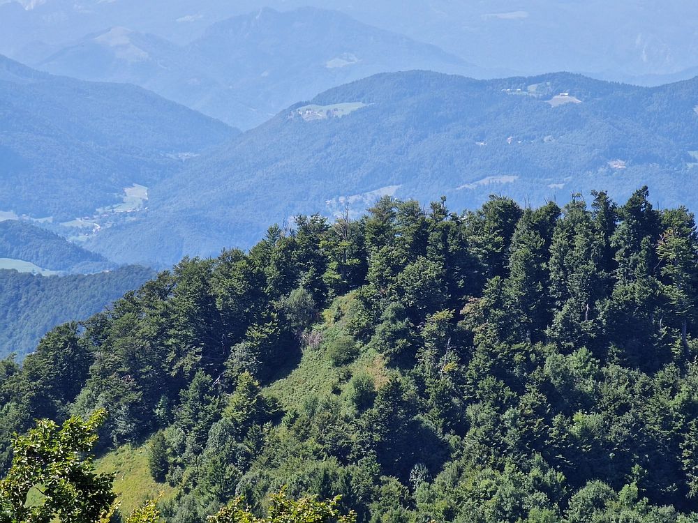 Slika je vidna v Google Chromu.