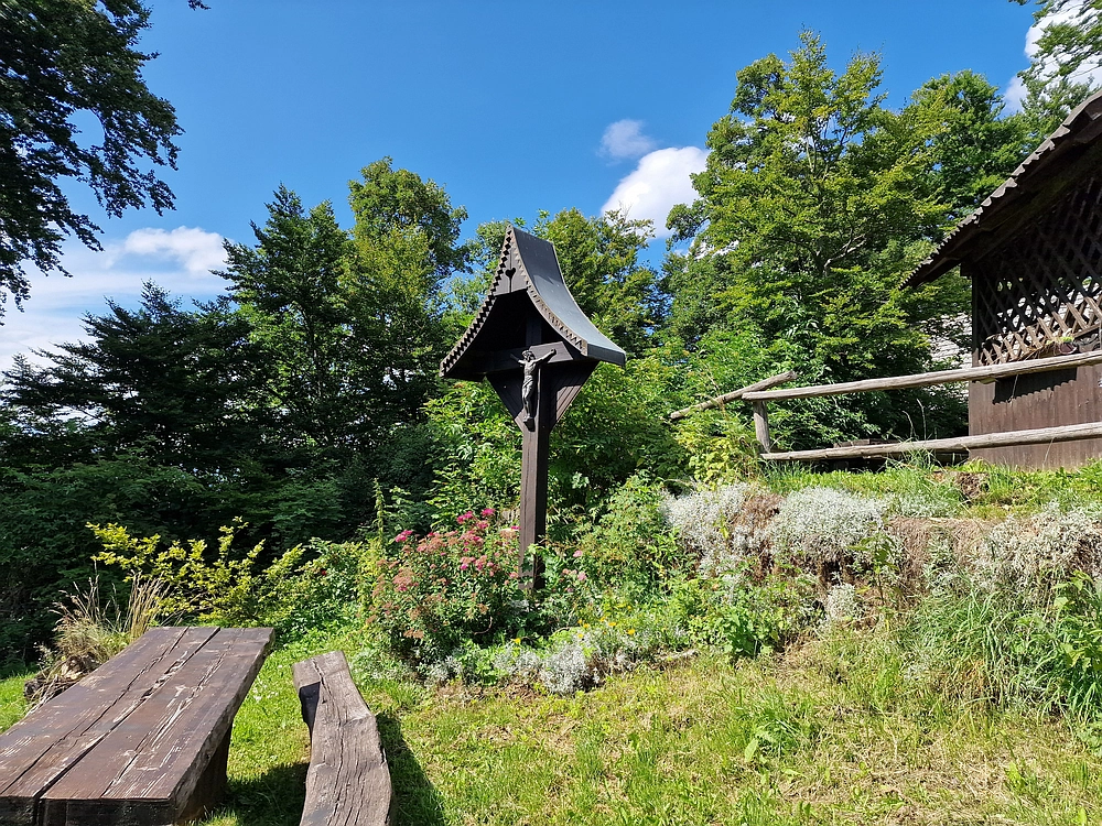 Slika je vidna v Google Chromu.