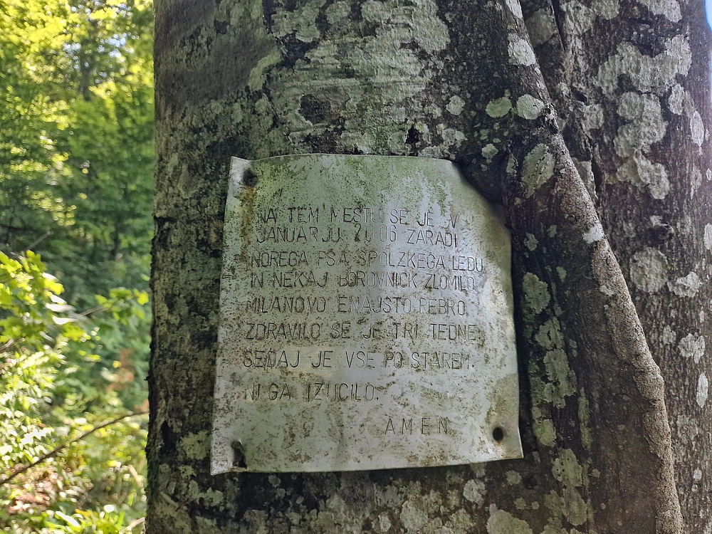 Slika je vidna v Google Chromu.