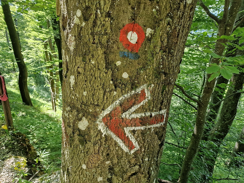 Slika je vidna v Google Chromu.