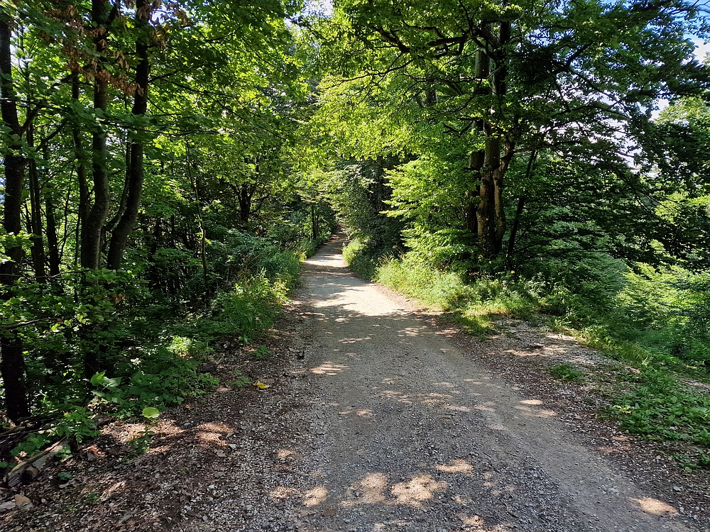 Slika je vidna v Google Chromu.