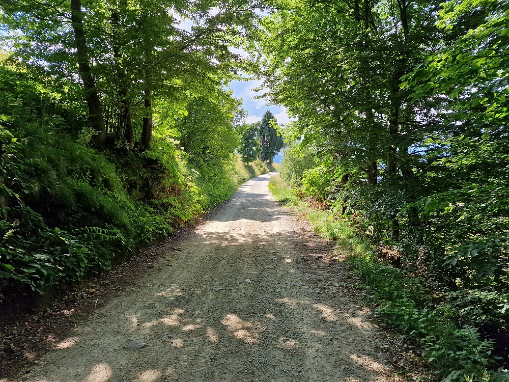 Slika je vidna v Google Chromu.