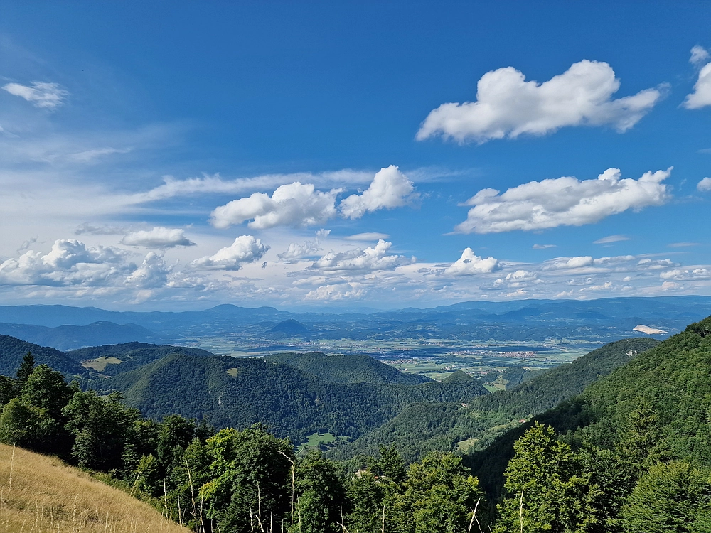 Slika je vidna v Google Chromu.