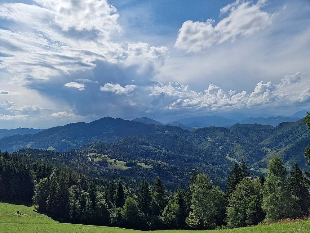 Slika je vidna v Google Chromu.