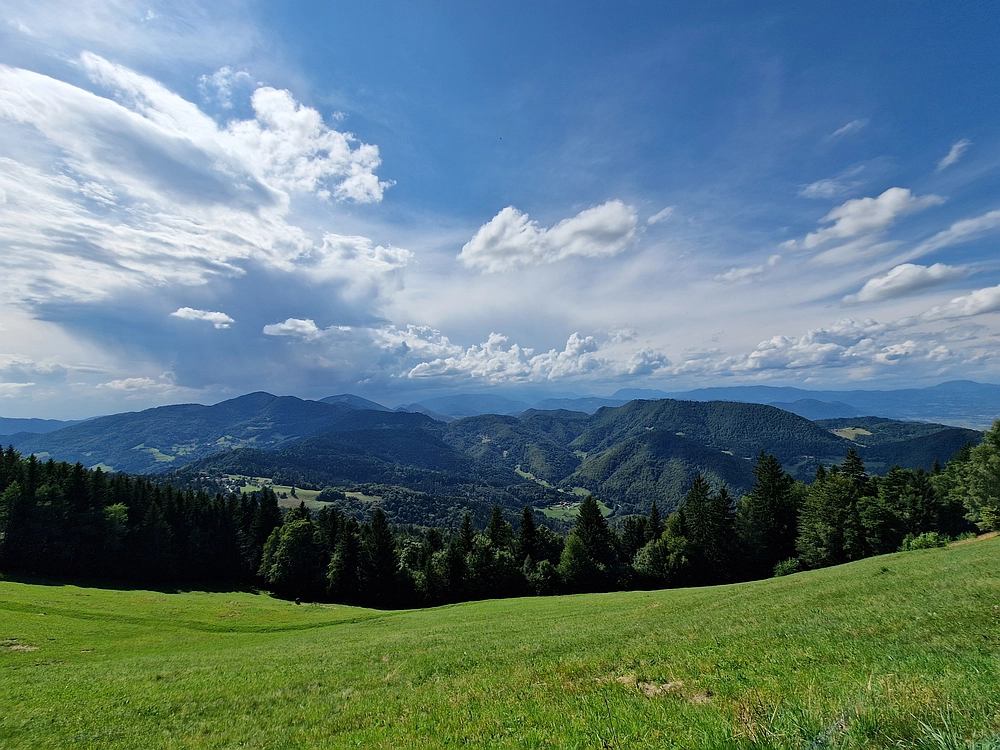 Slika je vidna v Google Chromu.
