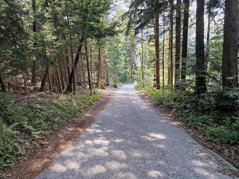 Slika je vidna v Google Chromu.