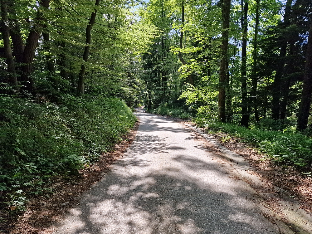 Slika je vidna v Google Chromu.