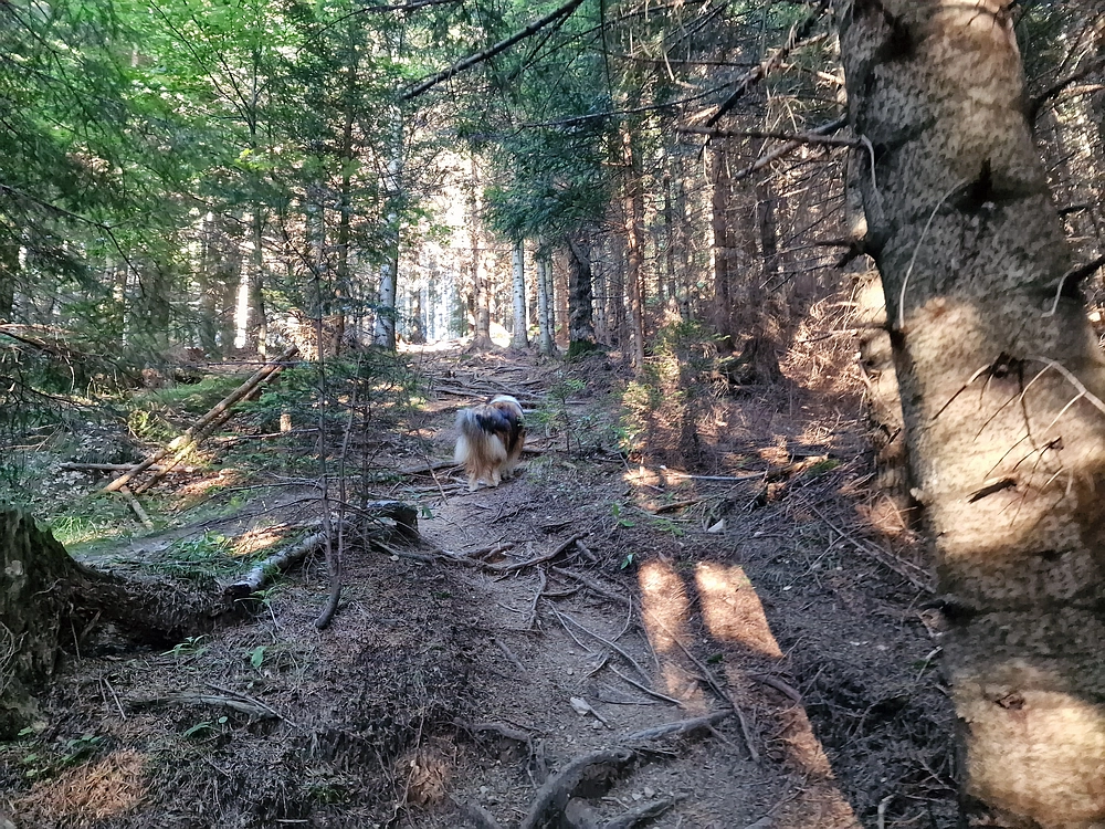 Kofce gora, Veliko Kladivo, 9. 8. 2025