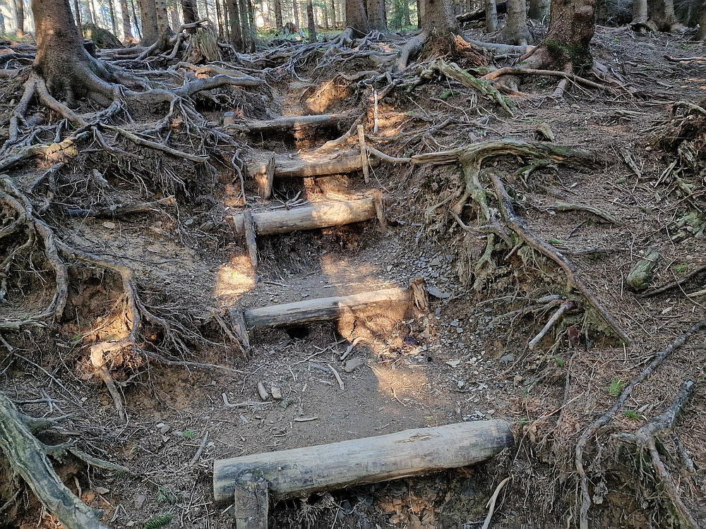 Kofce gora, Veliko Kladivo, 9. 8. 2025
