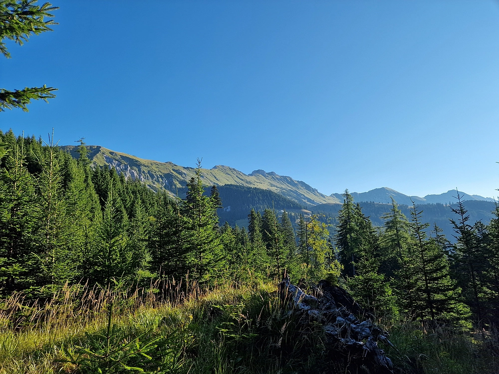 Kofce gora, Veliko Kladivo, 9. 8. 2025