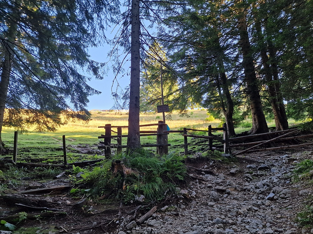 Kofce gora, Veliko Kladivo, 9. 8. 2025