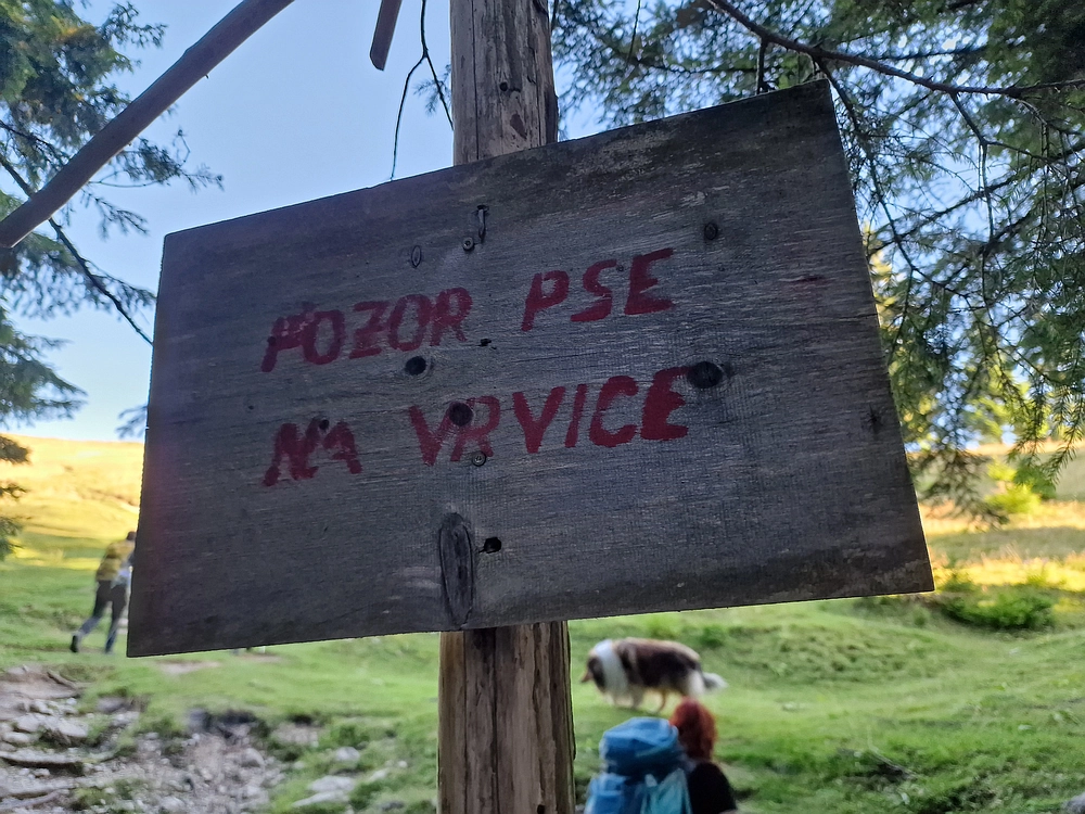 Kofce gora, Veliko Kladivo, 9. 8. 2025