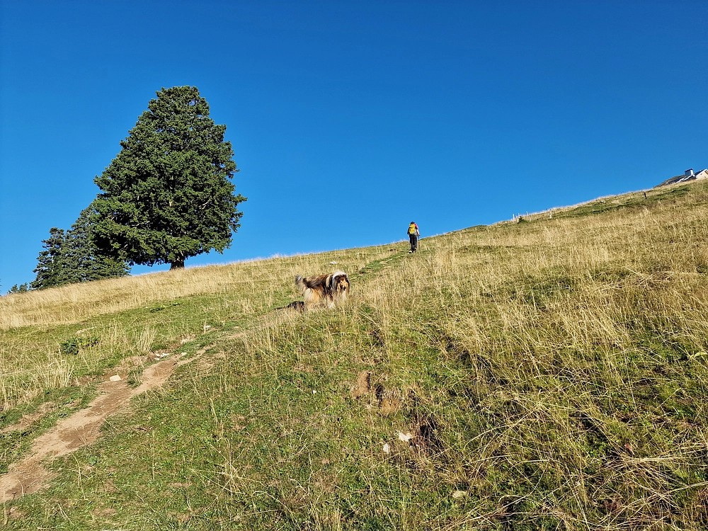 Kofce gora, Veliko Kladivo, 9. 8. 2025
