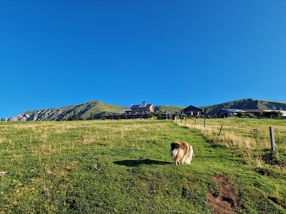 Kofce gora, Veliko Kladivo, 9. 8. 2025