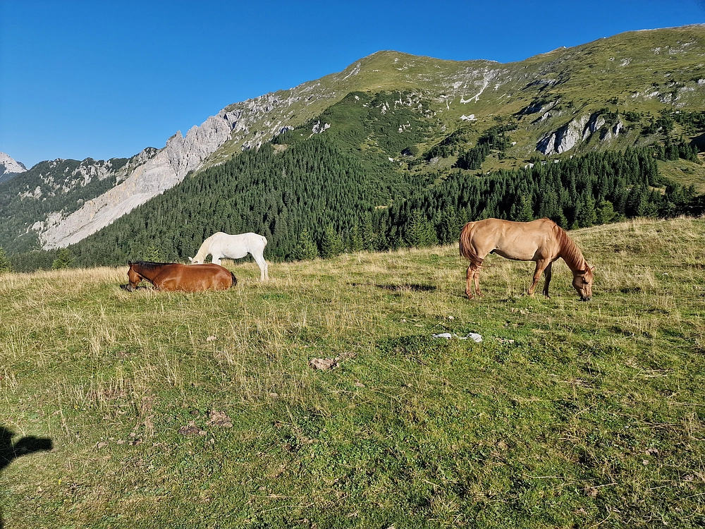 Kofce gora, Veliko Kladivo, 9. 8. 2025