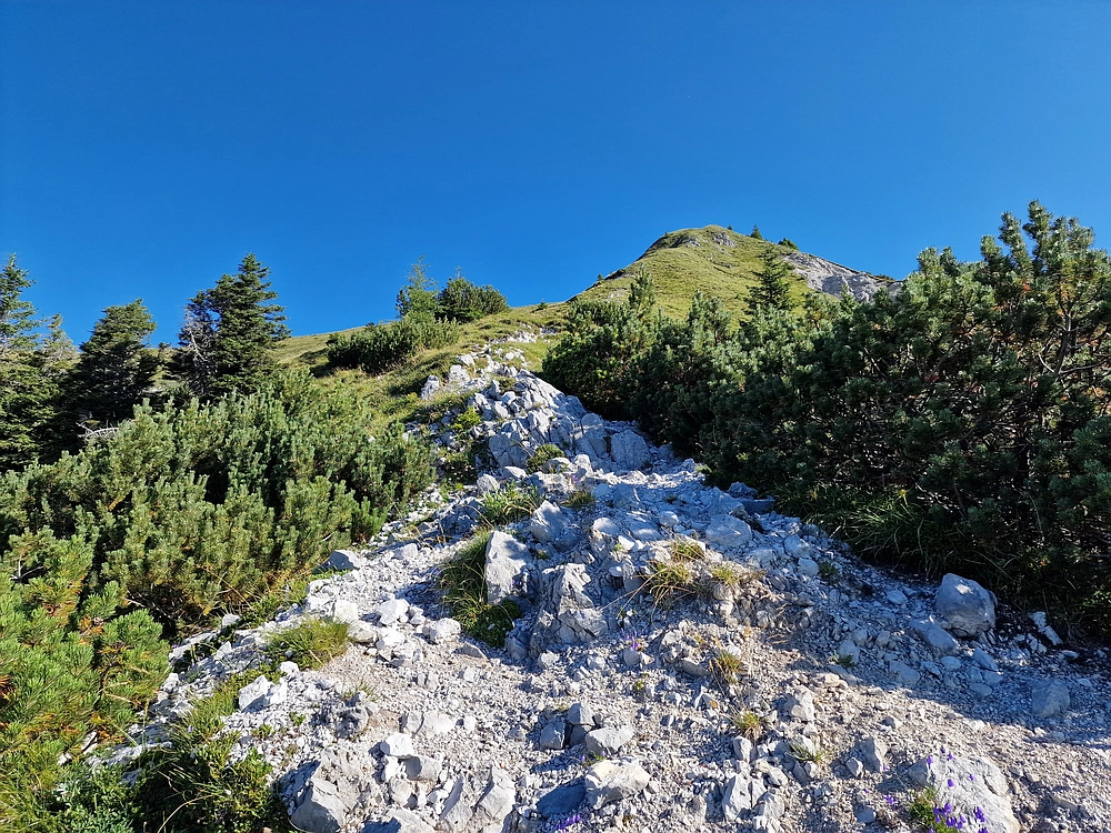 Kofce gora, Veliko Kladivo, 9. 8. 2025