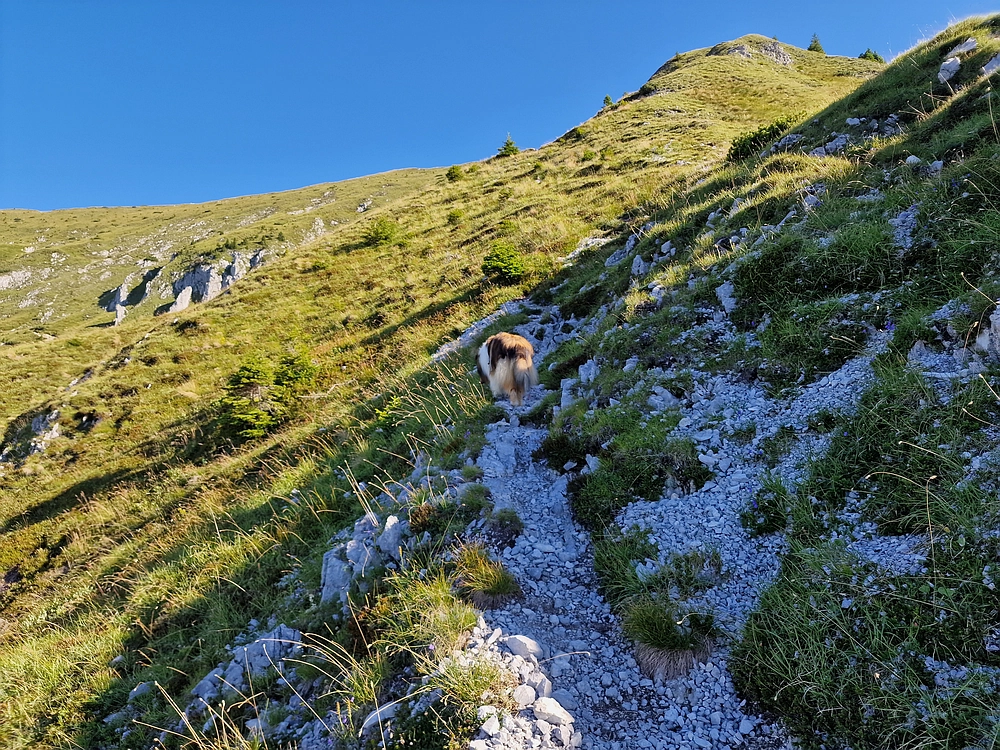Kofce gora, Veliko Kladivo, 9. 8. 2025