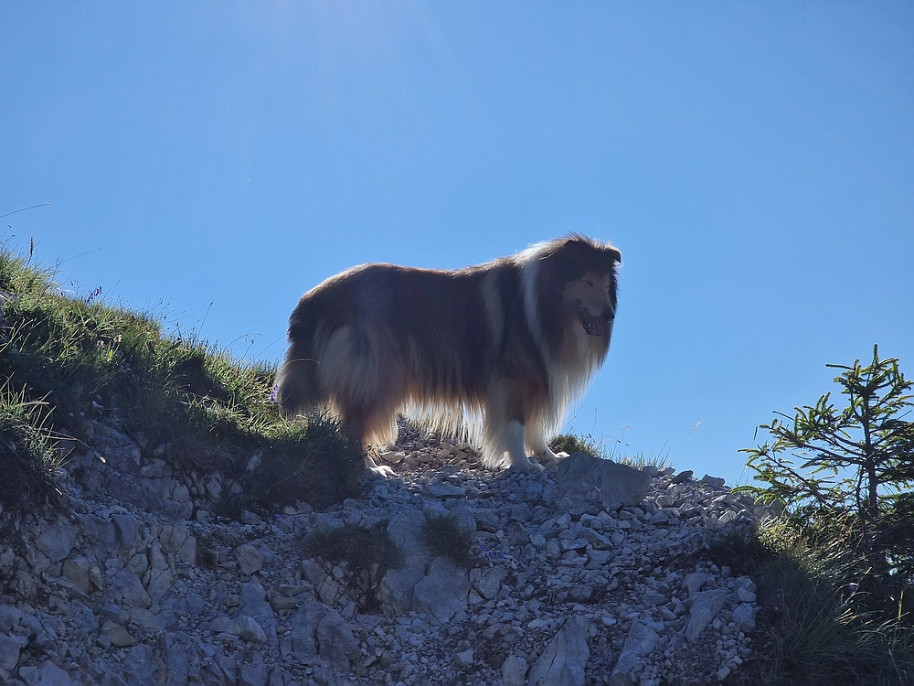 Kofce gora, Veliko Kladivo, 9. 8. 2025