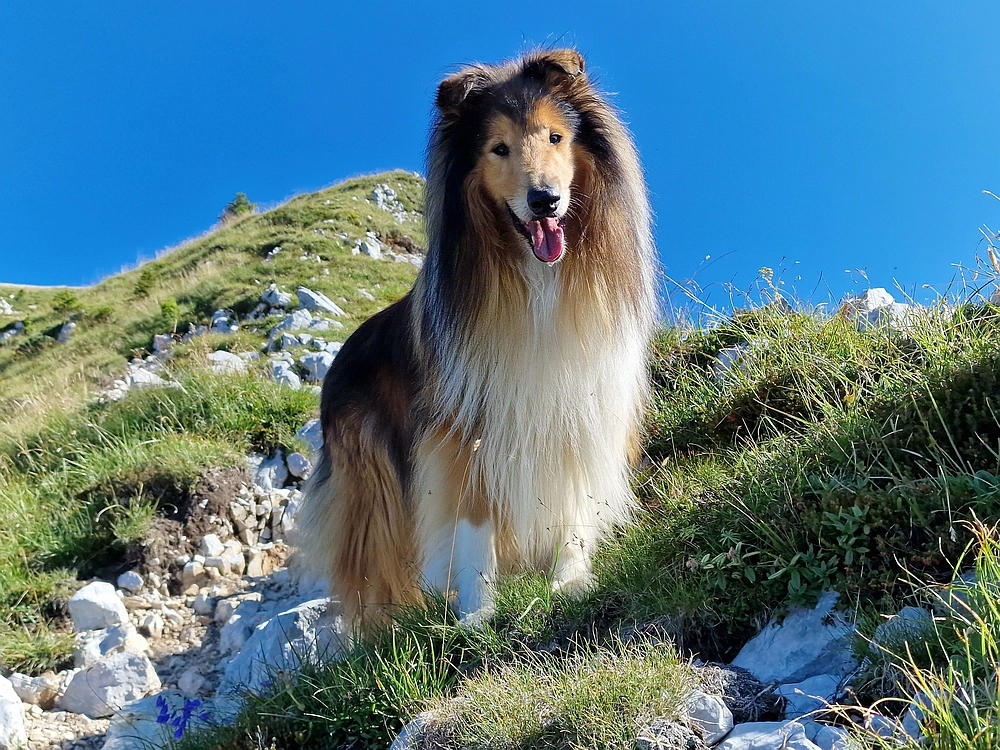 Kofce gora, Veliko Kladivo, 9. 8. 2025