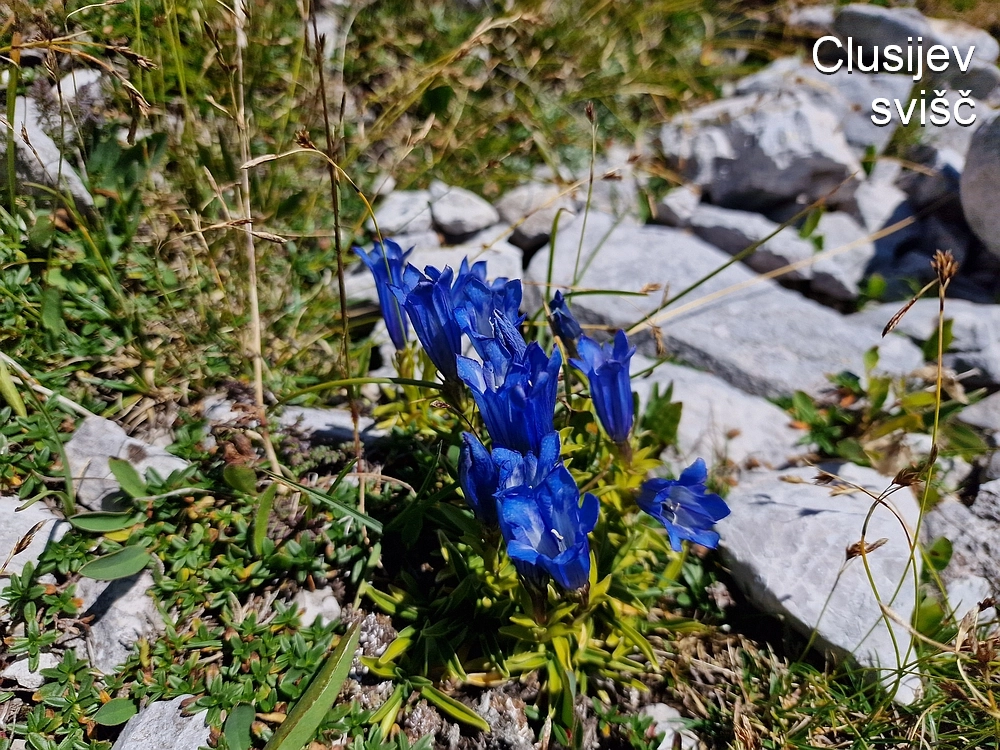 Kofce gora, Veliko Kladivo, 9. 8. 2025