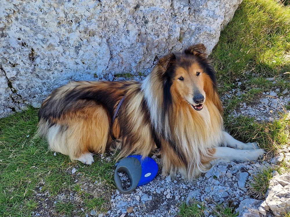 Kofce gora, Veliko Kladivo, 9. 8. 2025