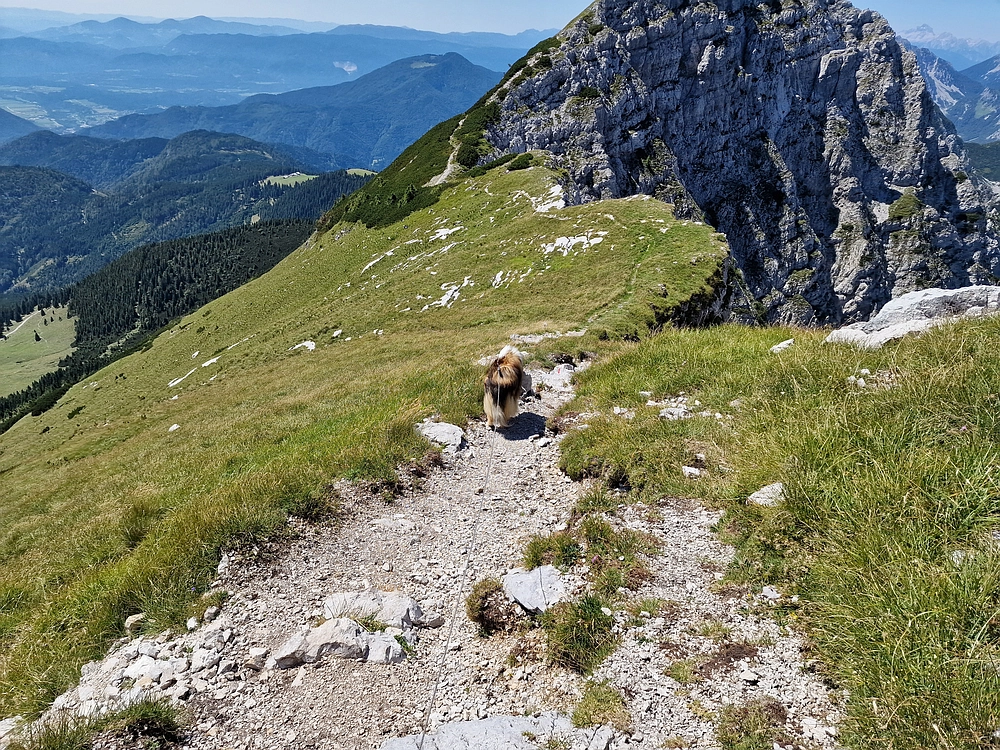 Kofce gora, Veliko Kladivo, 9. 8. 2025