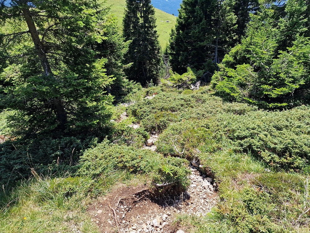 Kofce gora, Veliko Kladivo, 9. 8. 2025