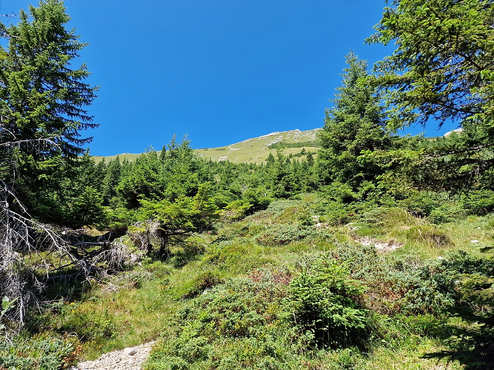 Kofce gora, Veliko Kladivo, 9. 8. 2025