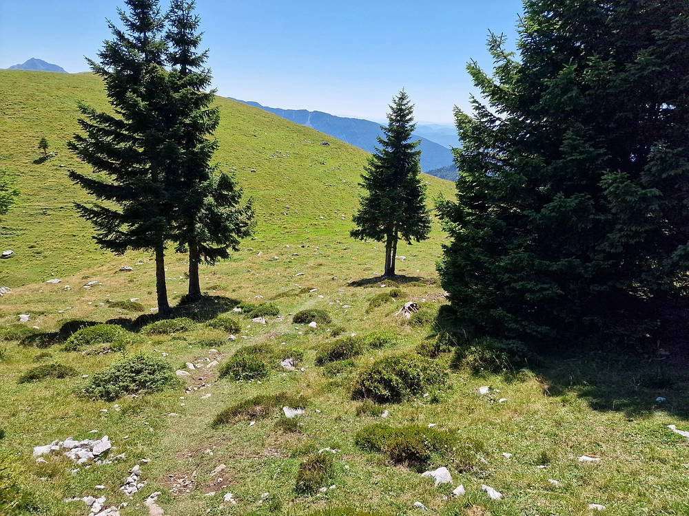 Kofce gora, Veliko Kladivo, 9. 8. 2025
