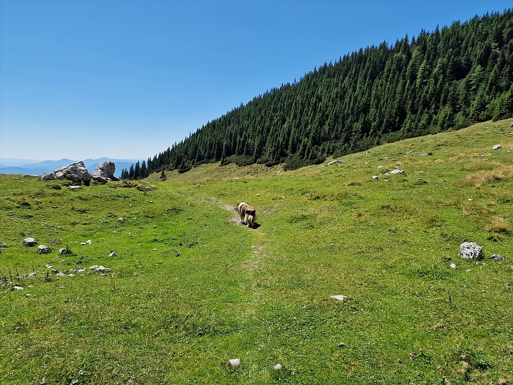 Kofce gora, Veliko Kladivo, 9. 8. 2025