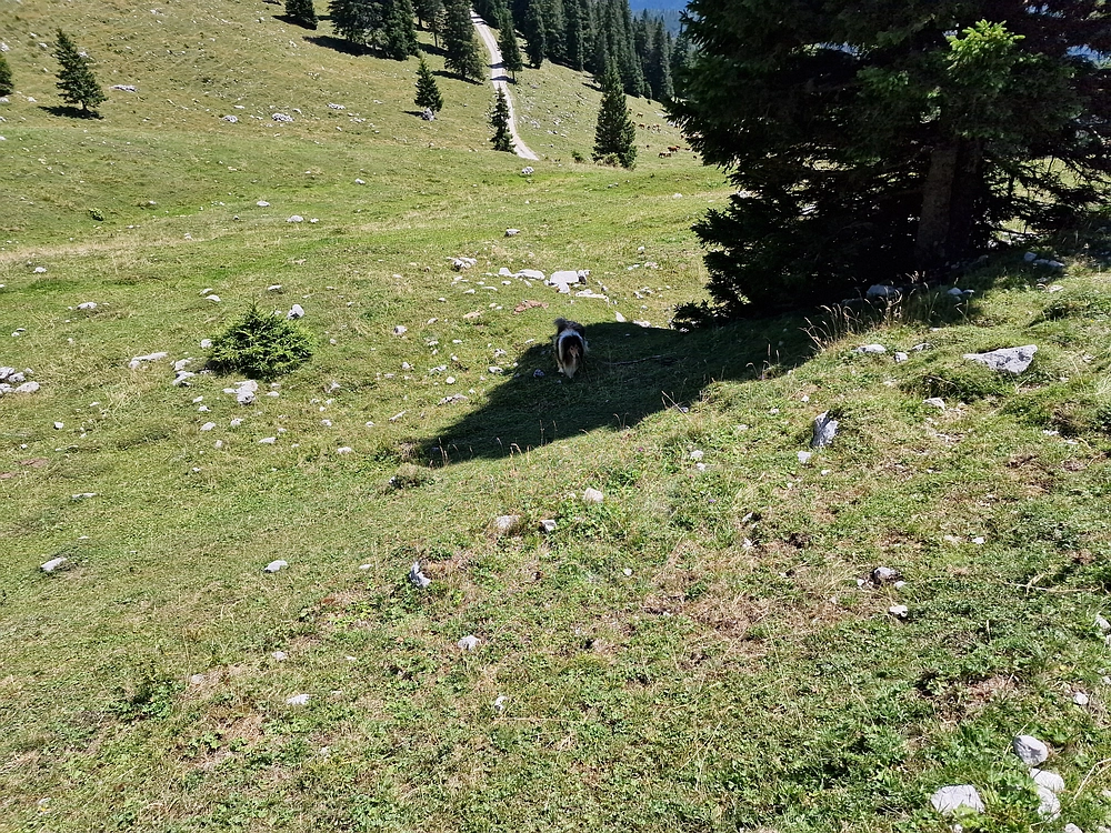 Kofce gora, Veliko Kladivo, 9. 8. 2025