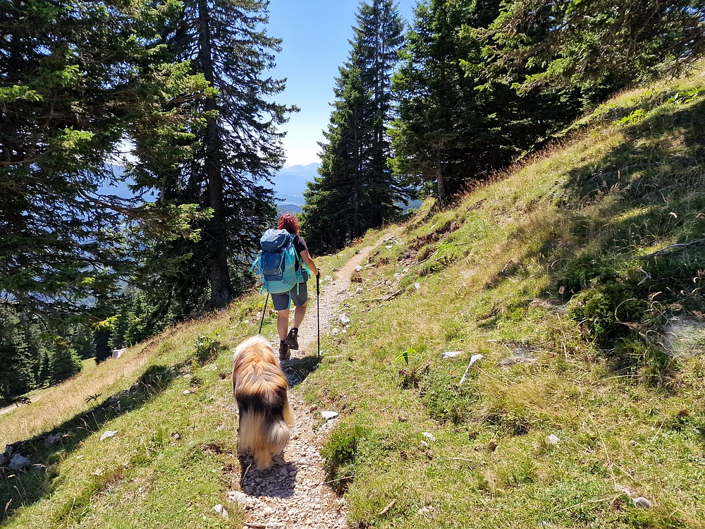 Kofce gora, Veliko Kladivo, 9. 8. 2025