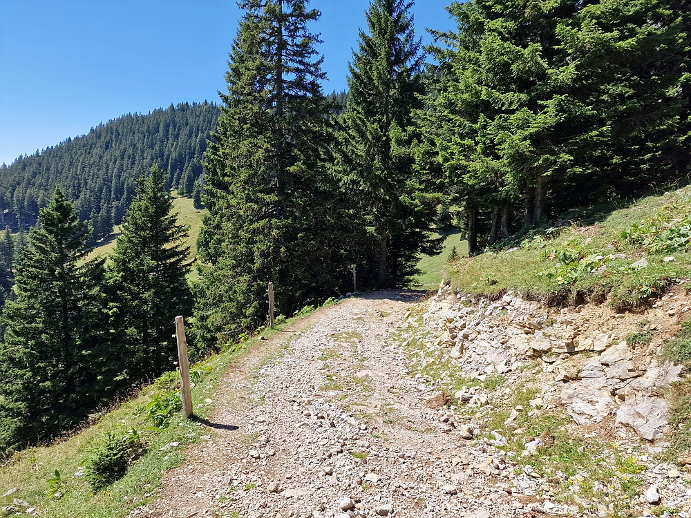 Kofce gora, Veliko Kladivo, 9. 8. 2025