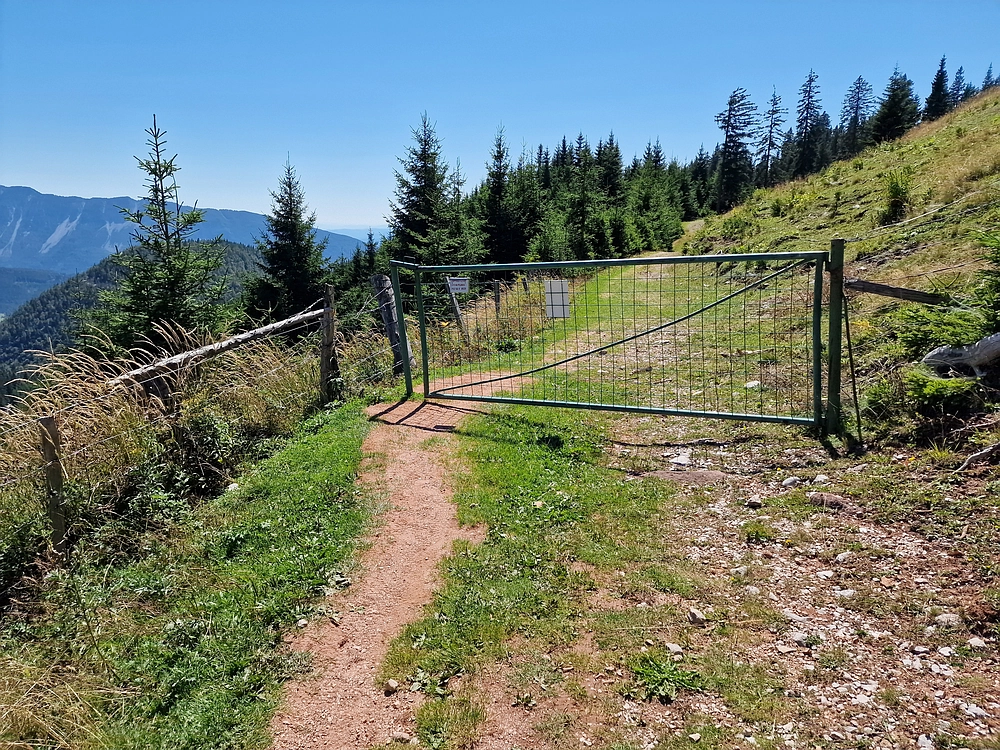 Kofce gora, Veliko Kladivo, 9. 8. 2025