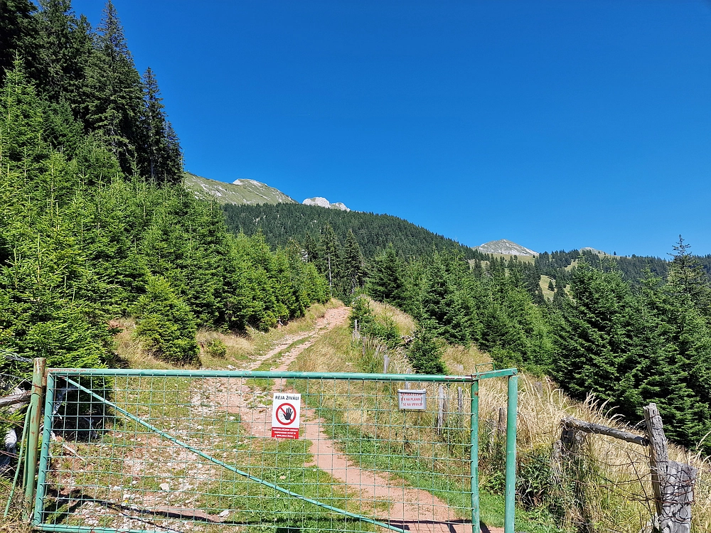 Kofce gora, Veliko Kladivo, 9. 8. 2025