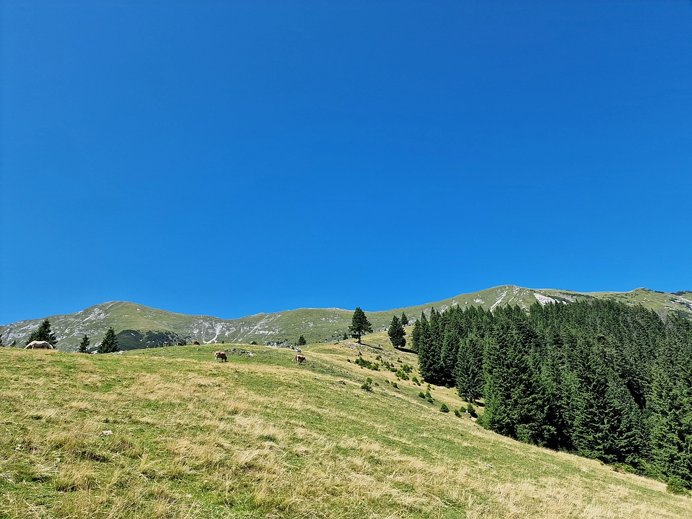 Kofce gora, Veliko Kladivo, 9. 8. 2025