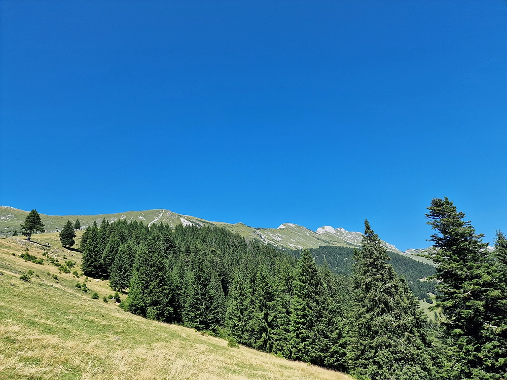Kofce gora, Veliko Kladivo, 9. 8. 2025