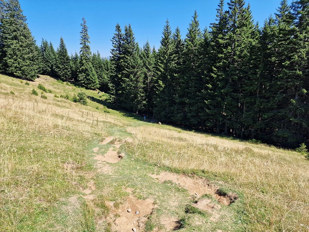 Kofce gora, Veliko Kladivo, 9. 8. 2025