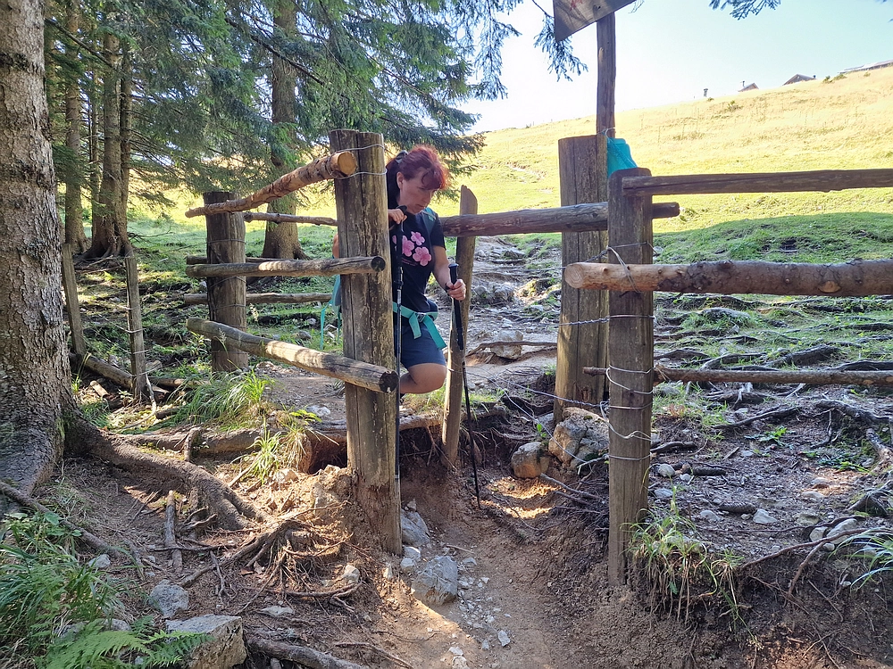 Kofce gora, Veliko Kladivo, 9. 8. 2025