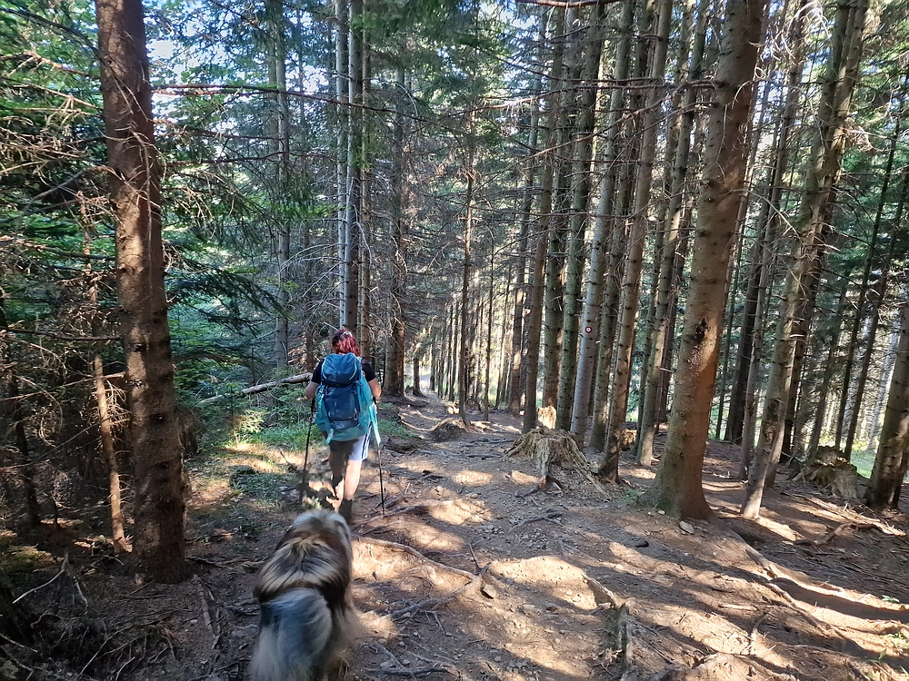 Kofce gora, Veliko Kladivo, 9. 8. 2025