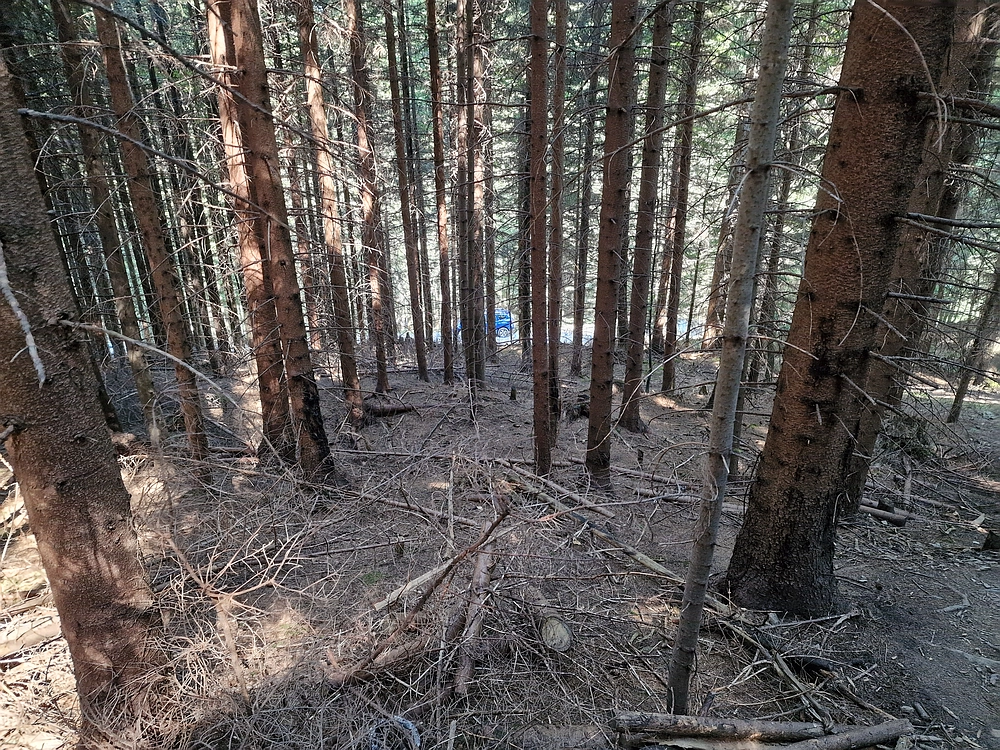 Kofce gora, Veliko Kladivo, 9. 8. 2025