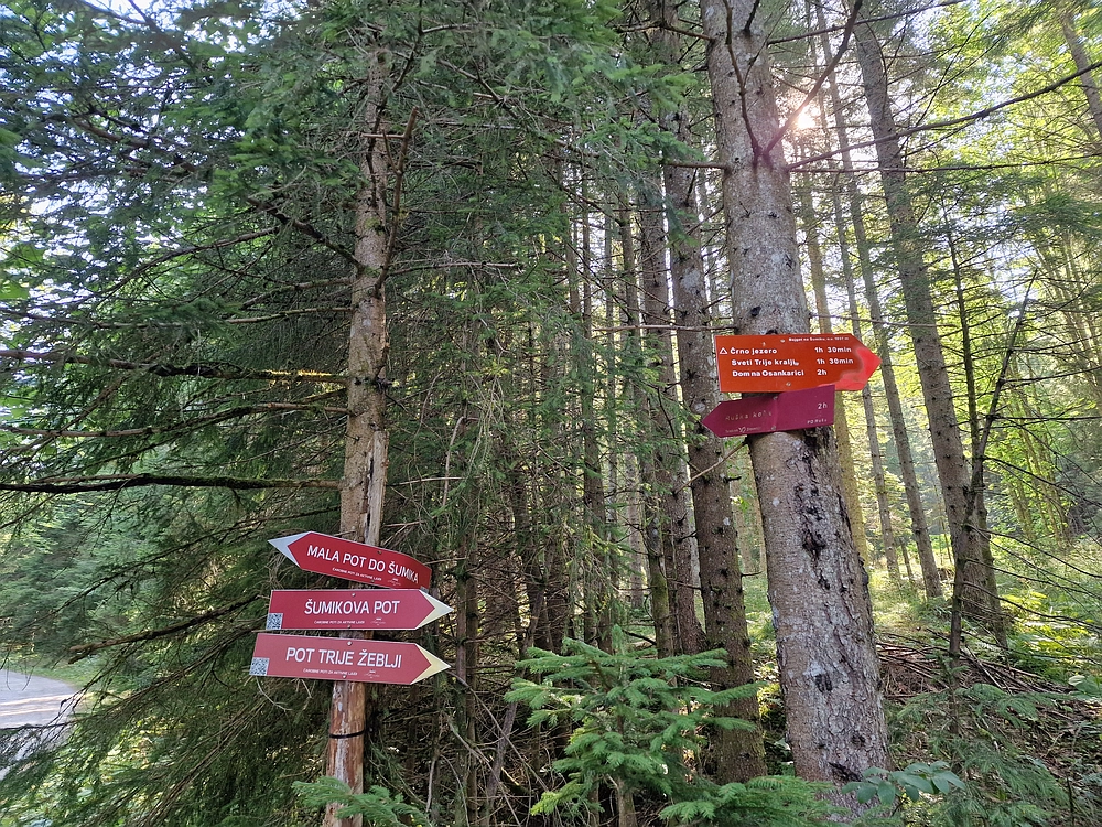 Bajgot - Ruška koča, 15. 8. 2025