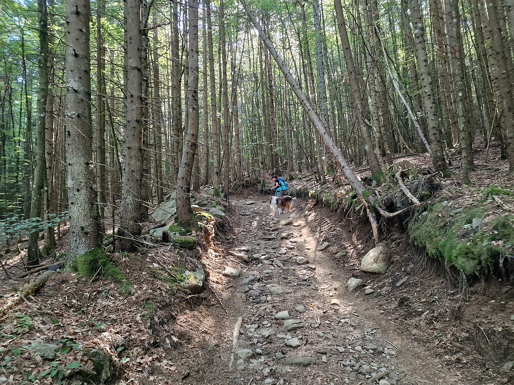 Bajgot - Ruška koča, 15. 8. 2025