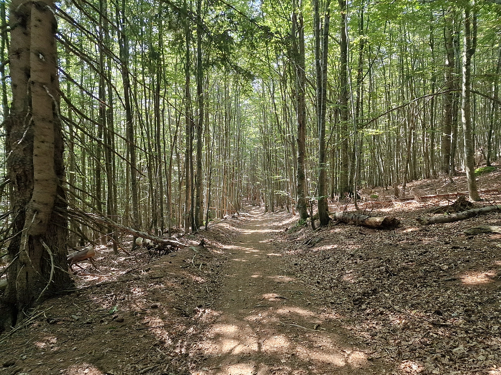 Bajgot - Ruška koča, 15. 8. 2025